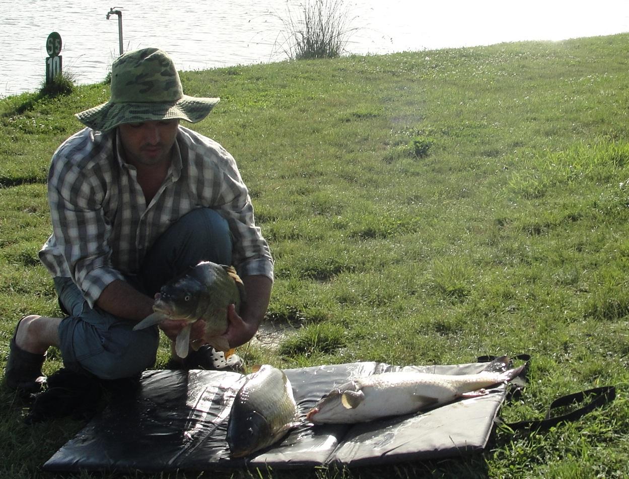 Floarea Popestiului 20 - 20 iun. - 6.JPG